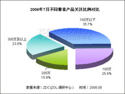 2006年7月數碼攝像機市場關注調查報告
